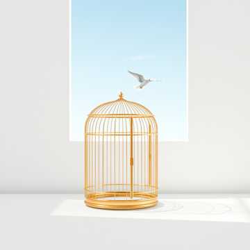 Я свободная птица 2