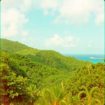 Зеленая жизнь