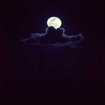 Ognjen, Sinisa - Insomnia