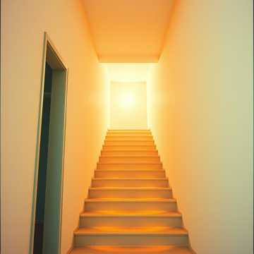 Старшая сестра