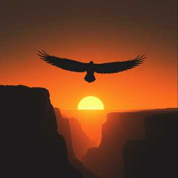 Летела через