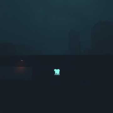 Медведь Исправить мир