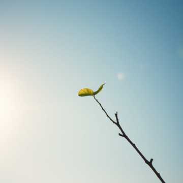 Листок качается