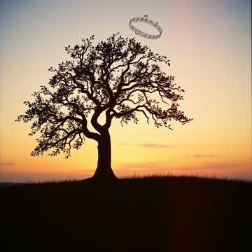 Круговорот