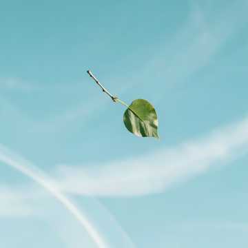 Листок качается