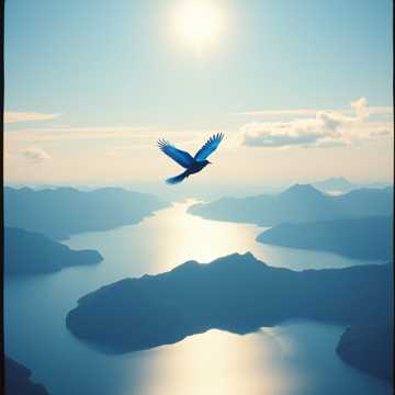 Я лечу над голубой стихией. (Edit)