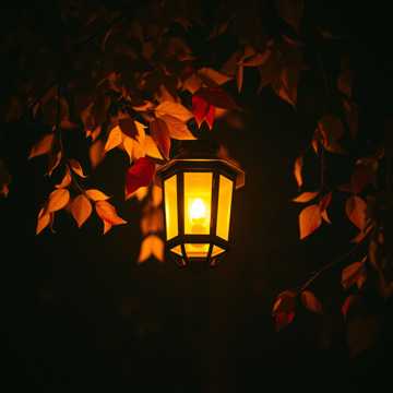 Осень в моей душе