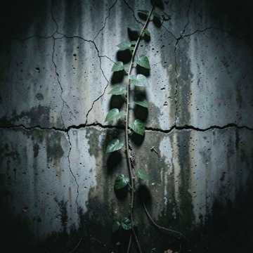 Она тебе ничего не должна