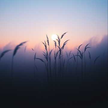 Дыхание ветра