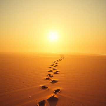 Чего ты хочешь?