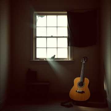 Пепел над Каракурой