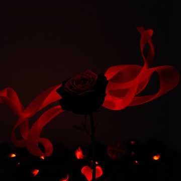 Бархатная ночь