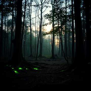 Не бейте Землю.