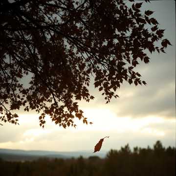 Волшебные лучи сквозь тучи проникают..._354777