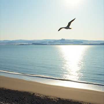 Прекрасный климат