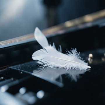 Крылья счастья