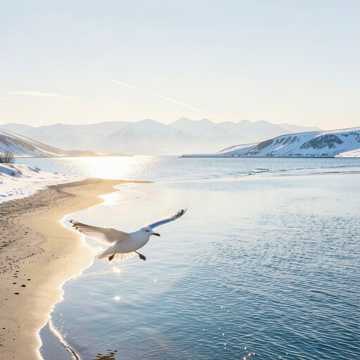 Прекрасный климат