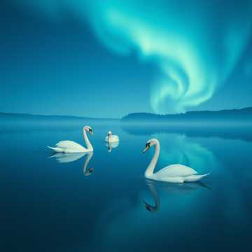 Карелочка /муз. С. Глазунов, стихи П. Лемну/