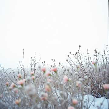 Твои глаза.