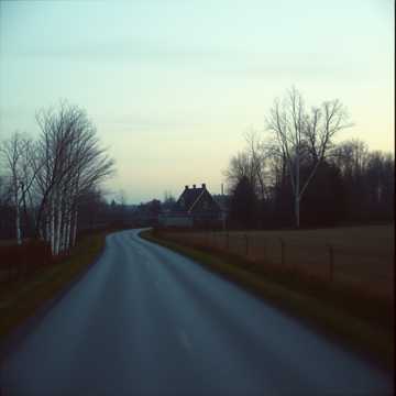 Еду по дороге