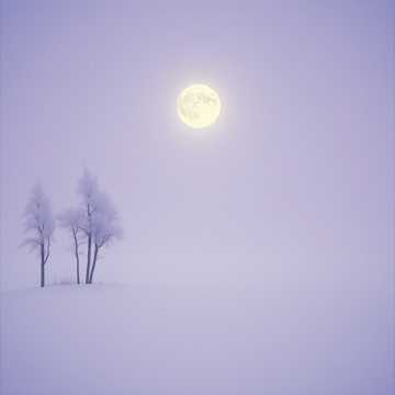 Дыханье зимних вьюг