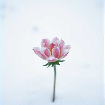 В феврале…