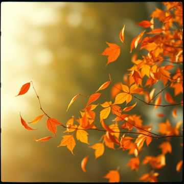 ПОСТУЧАЛА В ДВЕРИ ОСЕНЬ.