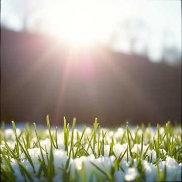 Ожидание любви.  (сл. С. Колочавин, муз. А. Почкин)