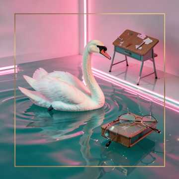 Гадкий утёнок