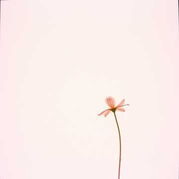 всего лишь раз 1