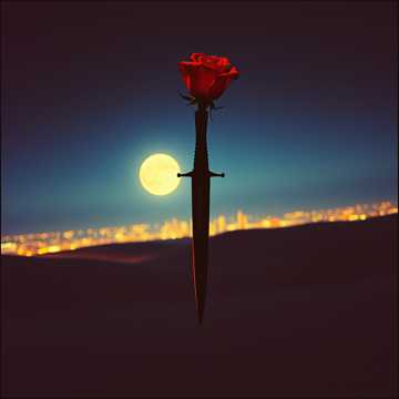 Кинжал и роза