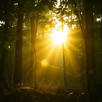 Так родился день