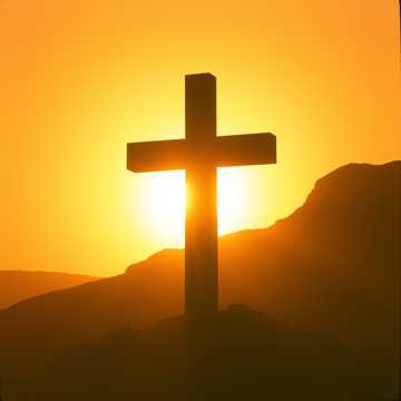 Ты спасен дорогой ценой !