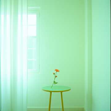 Кристалл Энни