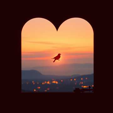 Жизнь прожить