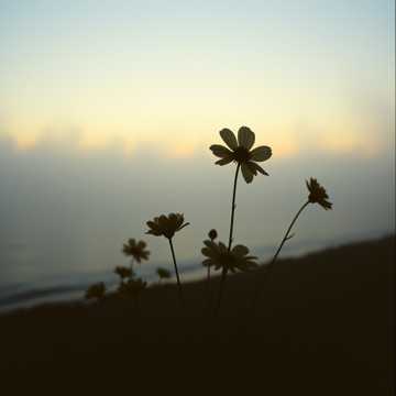 Ты мои стихи перечитаешь.