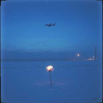 Белой полосой 2_34896