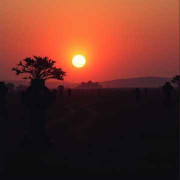 Одна дорога