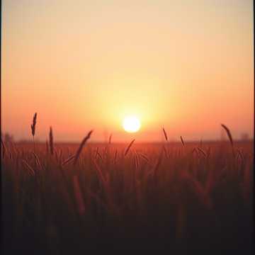 Вечность в крови 5