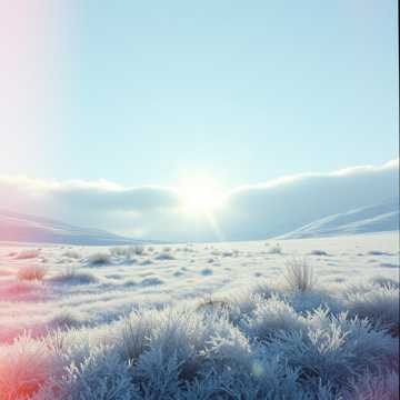 Зимняя радость