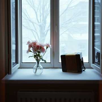 Цветы на подоконнике