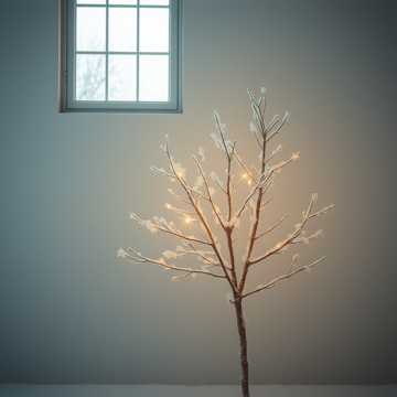 Белая берёза