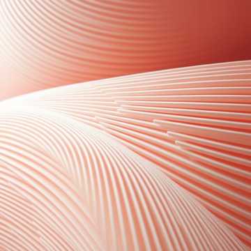 Весна пришла — пора любви