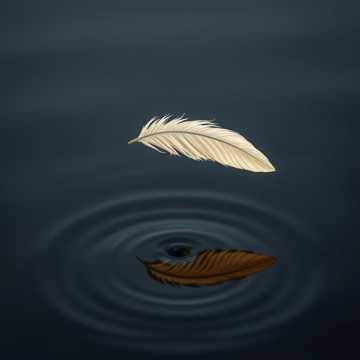 Два крыла 31