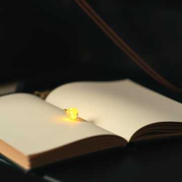 Моя настоящая любовь.