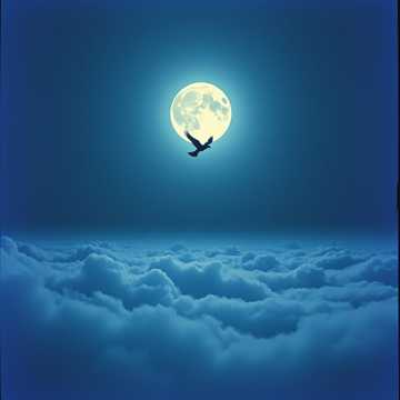 Последний полёт