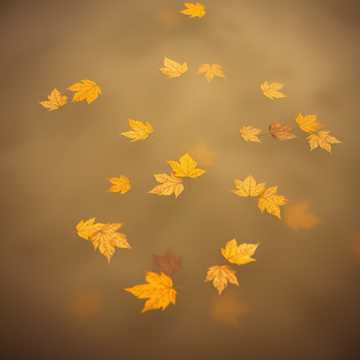 На последнем любви вираже...