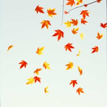 Юный октябрь