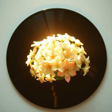 С праздником тебя, Вера