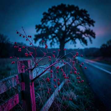 Что стоишь качаясь токая рябина